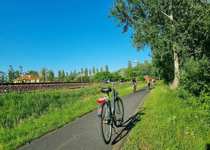 Pensjonat Felho Vendeghaz 3*