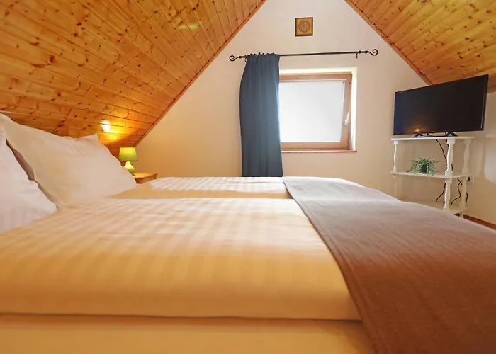 Casa de hóspedes Felhő 3*